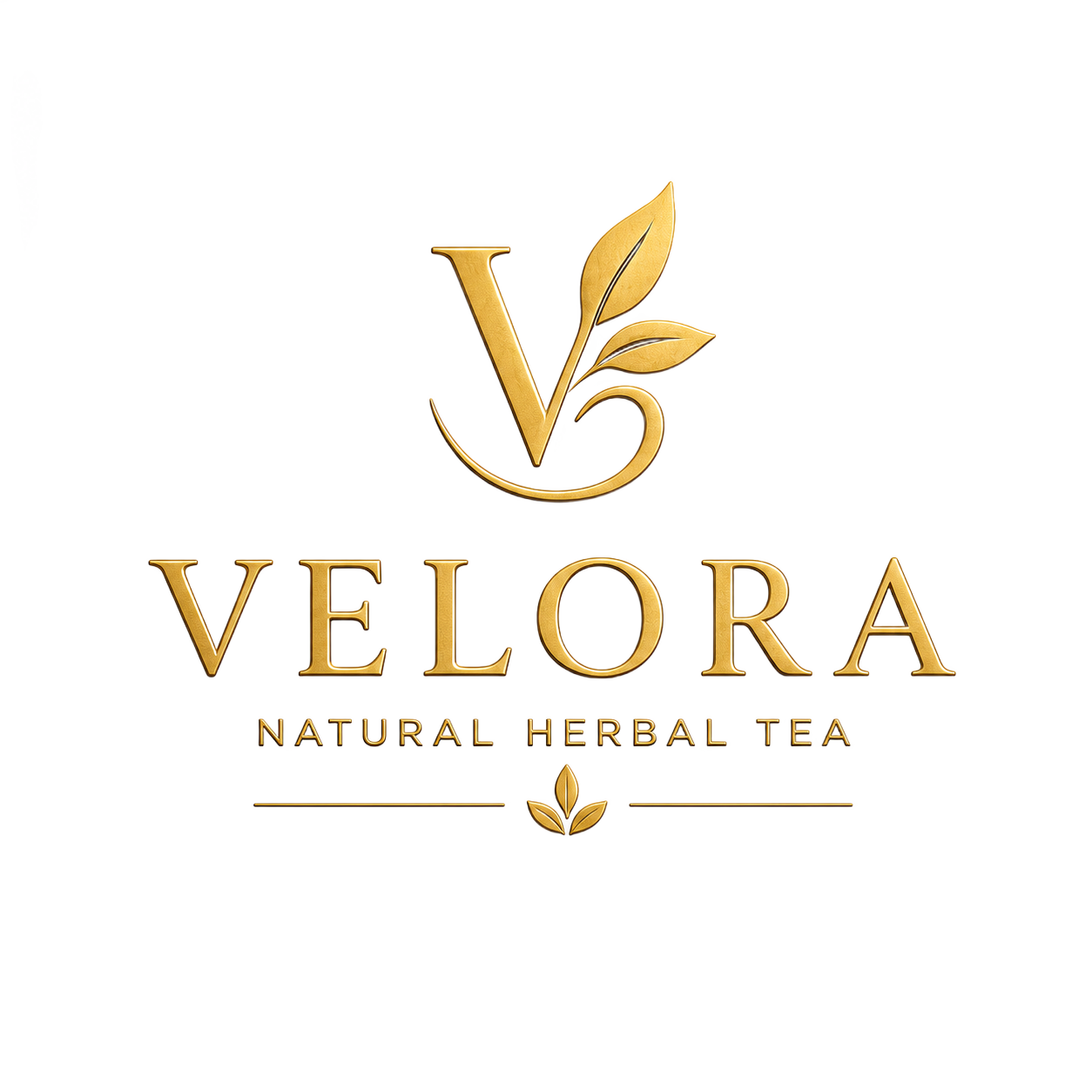 velora high quality logo